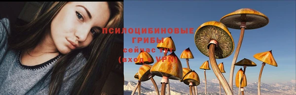 ГАЛЛЮЦИНОГЕННЫЕ ГРИБЫ Нефтекумск