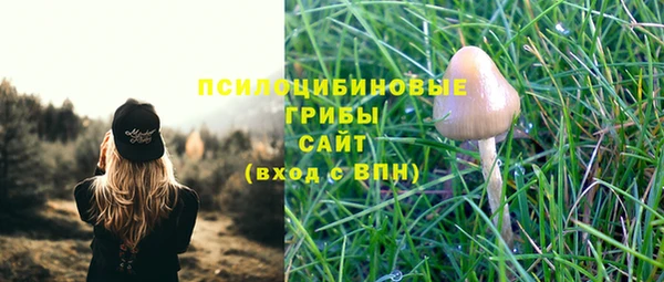 ГАЛЛЮЦИНОГЕННЫЕ ГРИБЫ Нефтекумск