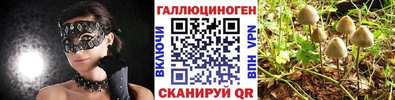 кракен зеркало  Кинель  Галлюциногенные грибы Cubensis  купить  