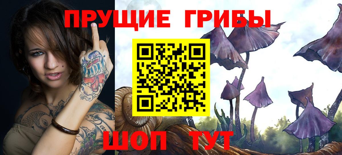 Галлюциногенные грибы Psilocybe  Вход с VPN  Кинель 
